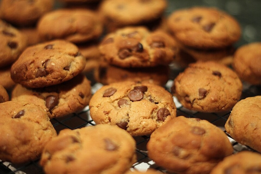 Frisch gebackene Schoko-Cookies